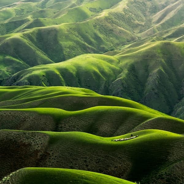 Naturaleza